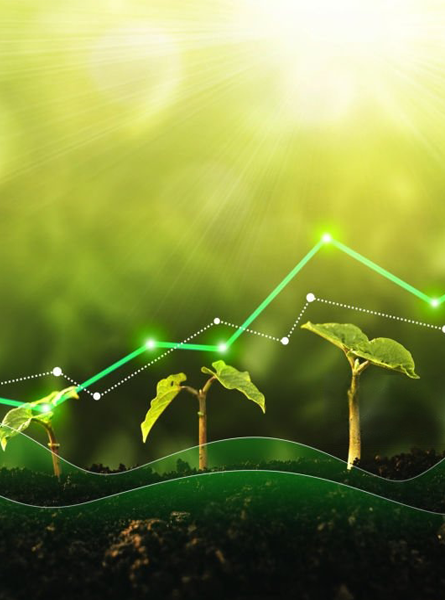 vision-of-mayookha-farms